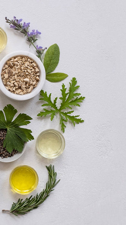 Best Wild Yam Cream for Menopause