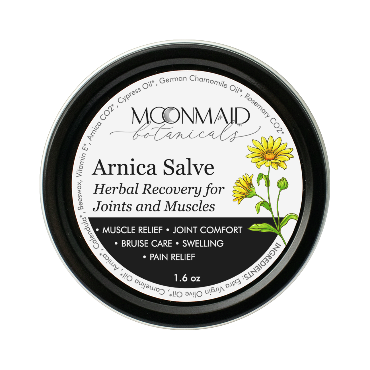 Arnica Salve