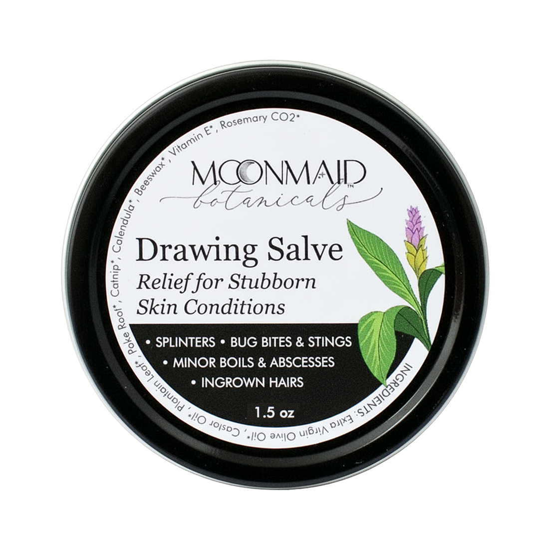 Drawing Salve