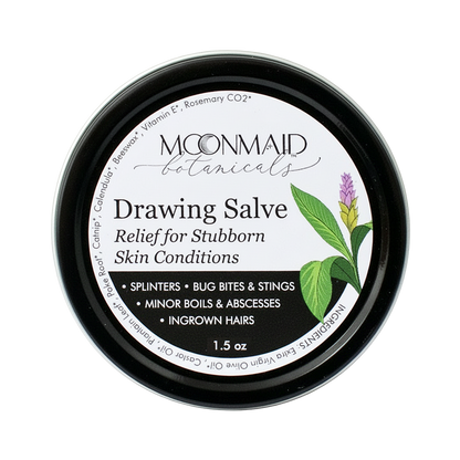 Drawing Salve