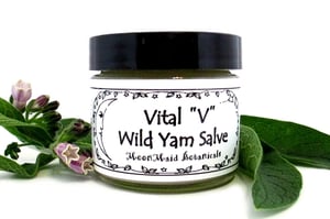 Vital "V" Wild Yam Salve